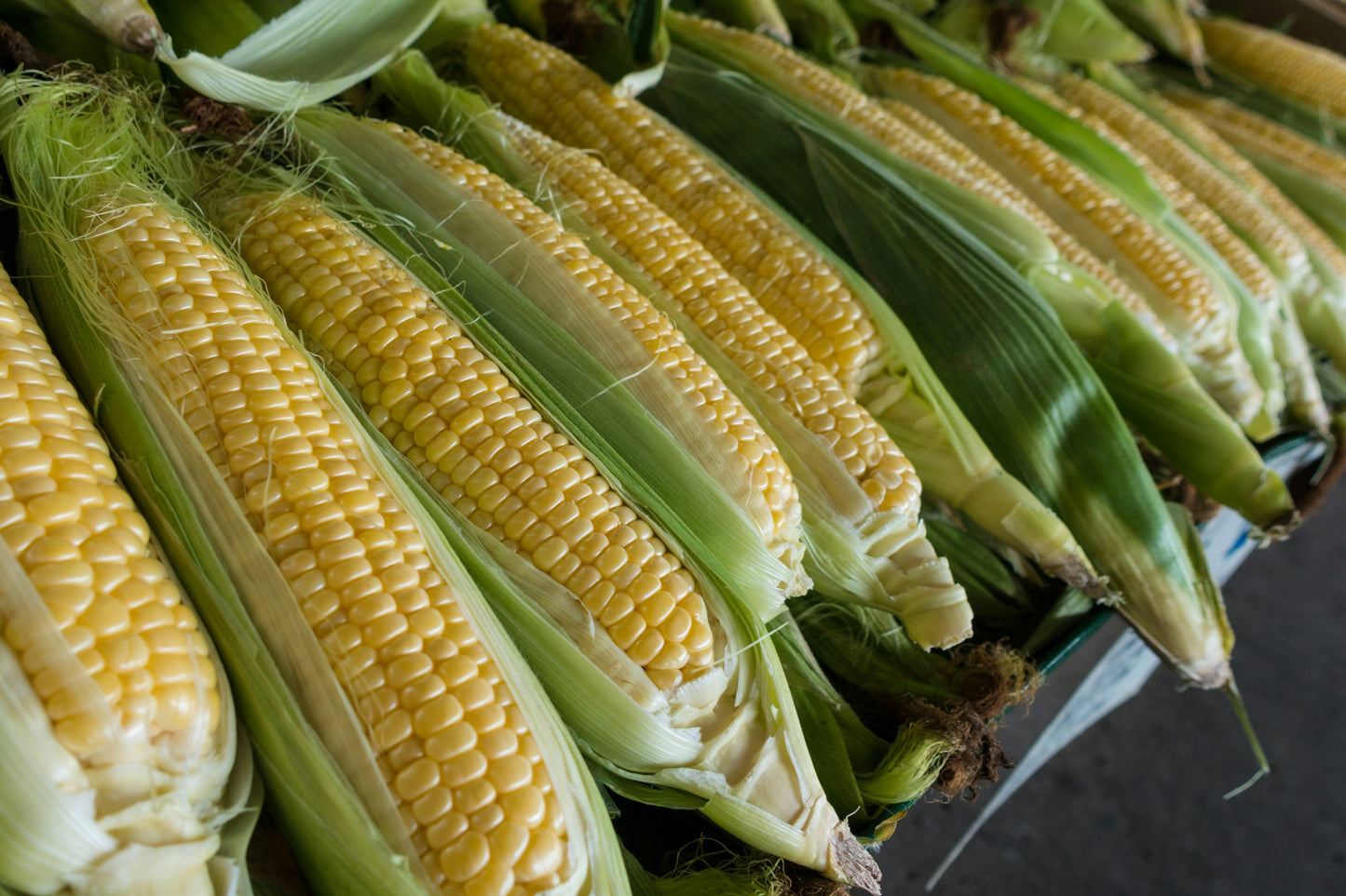Corn @ U & Me Traders