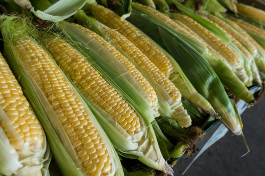 Corn @ U & Me Traders