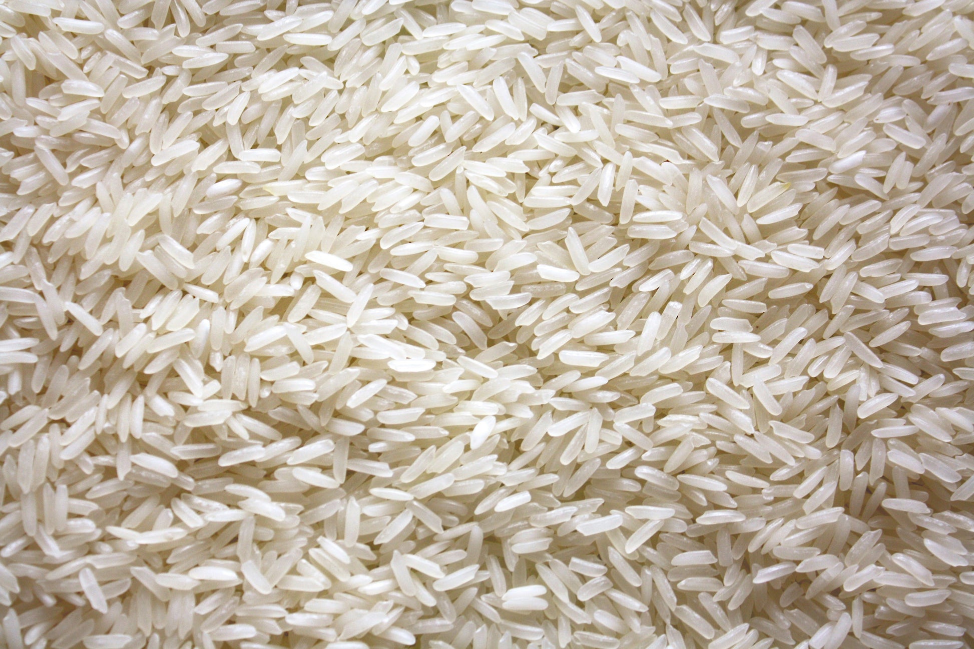Close-up of white rice grains